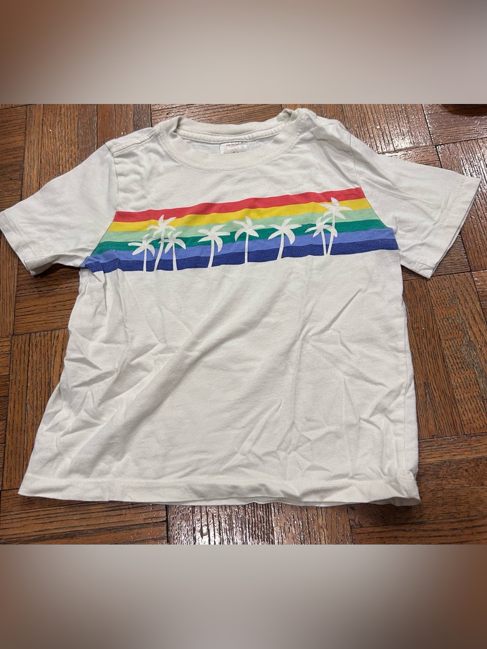 Hanna Andersson White Tee with Rainbow Stripes & Palm Trees
